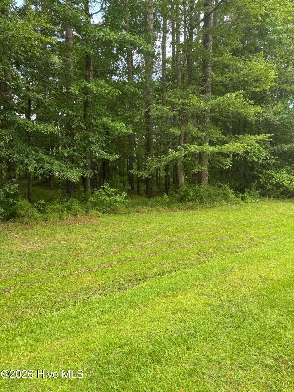0 Winfield Lane Pinetown, NC 27865