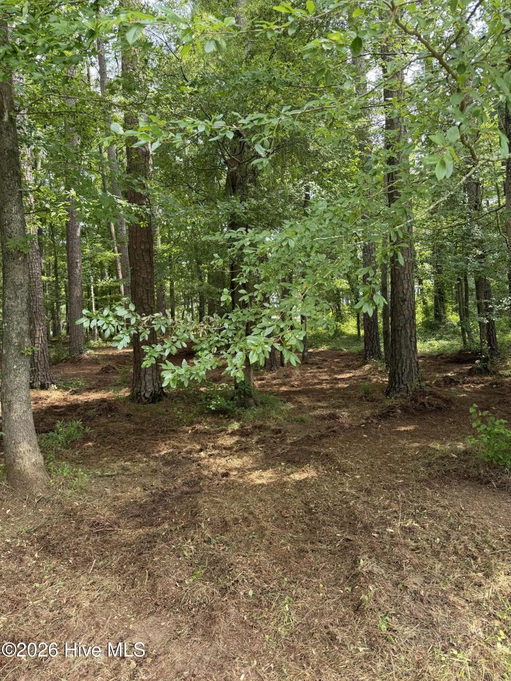 0 Winfield Lane Pinetown, NC 27865