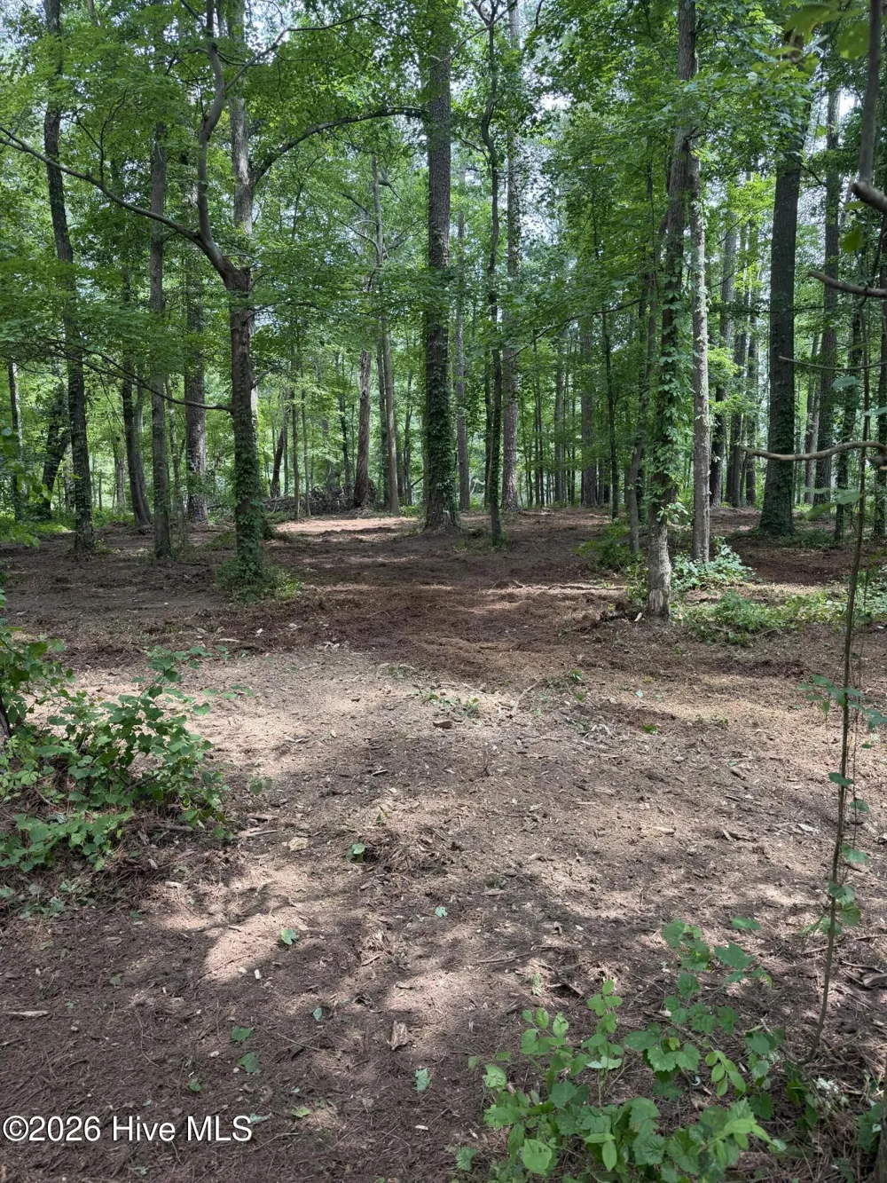 0 Winfield Lane Pinetown, NC 27865