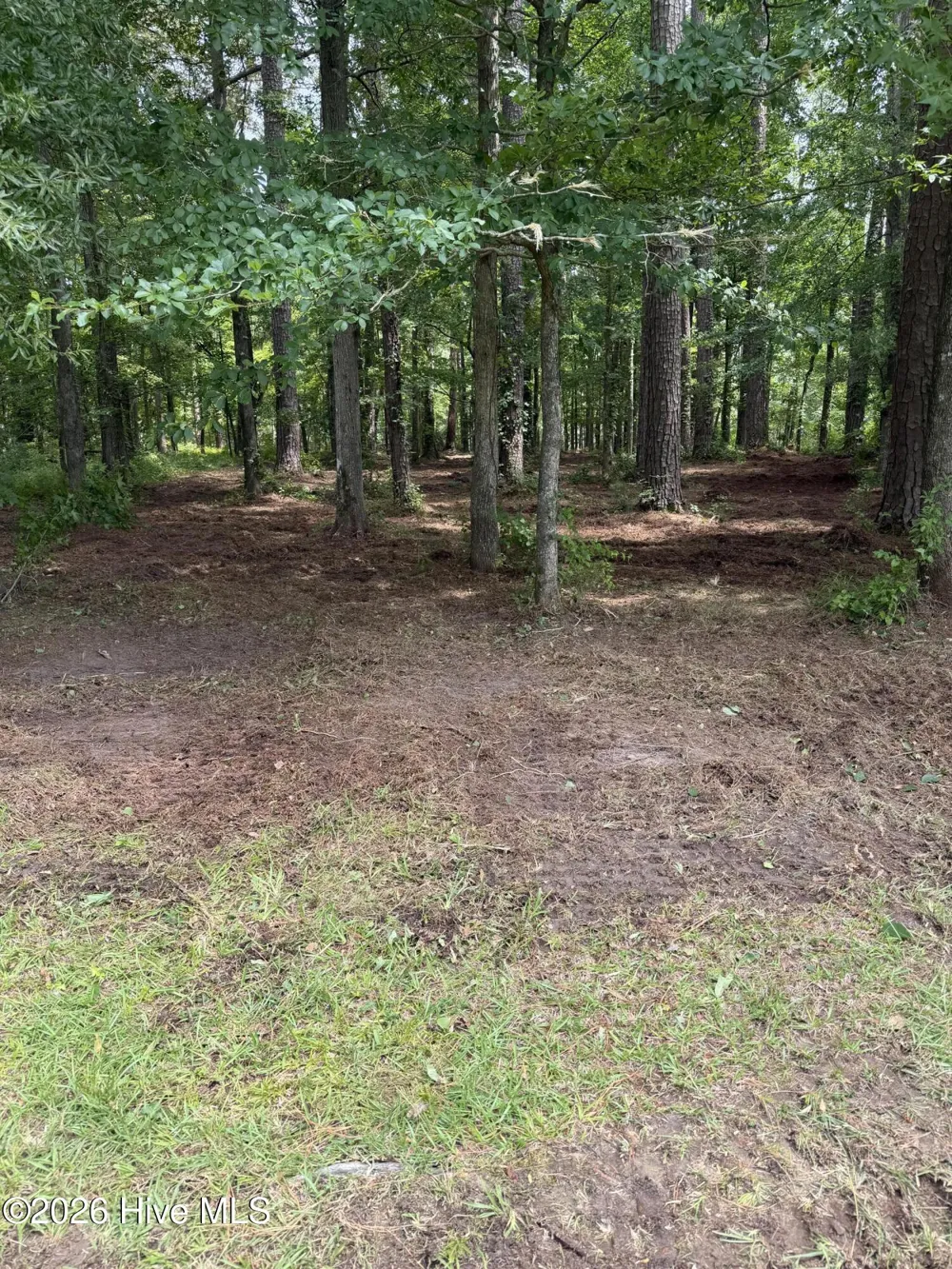 0 Winfield Lane Pinetown, NC 27865