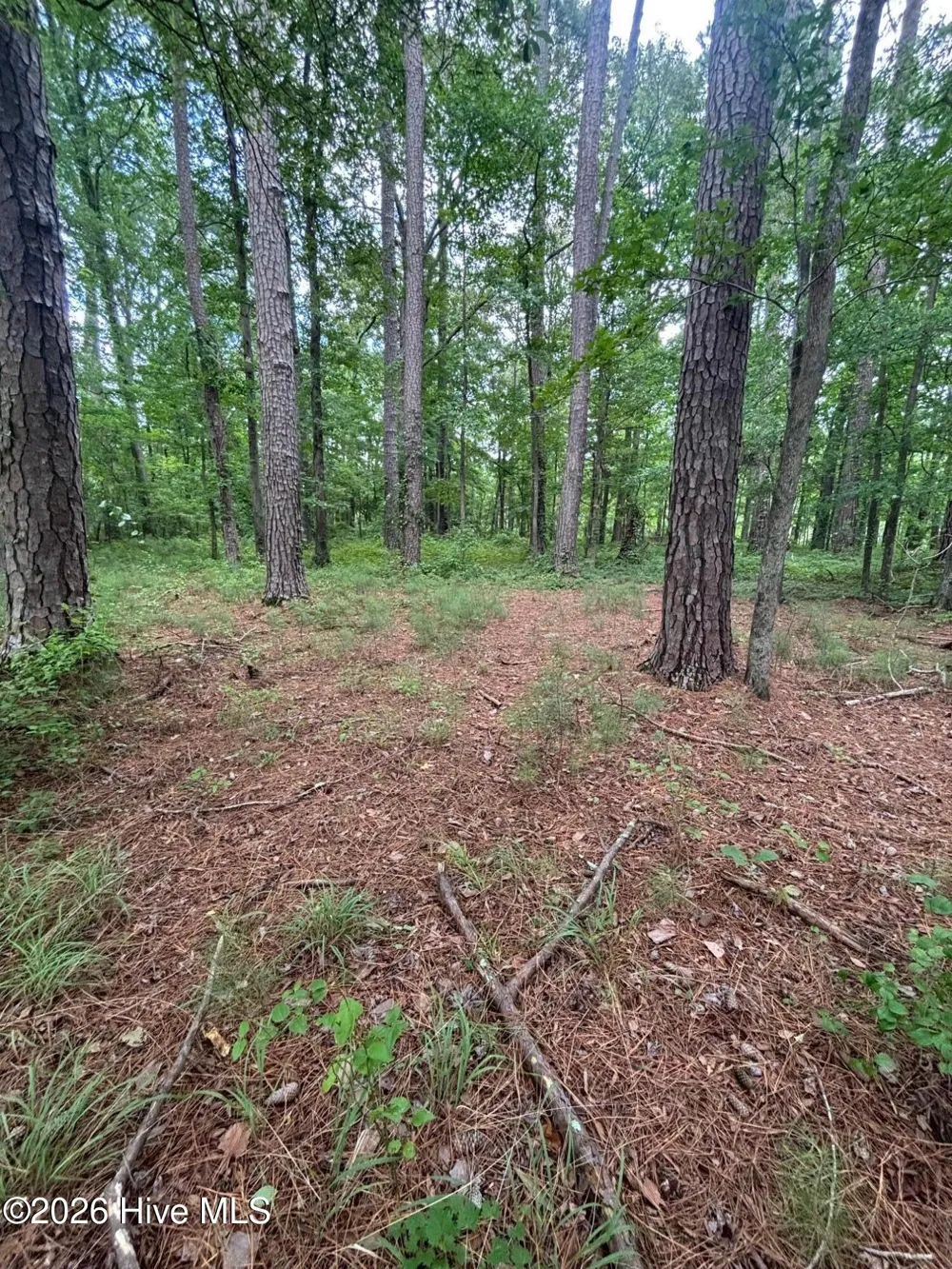 0 Winfield Lane Pinetown, NC 27865