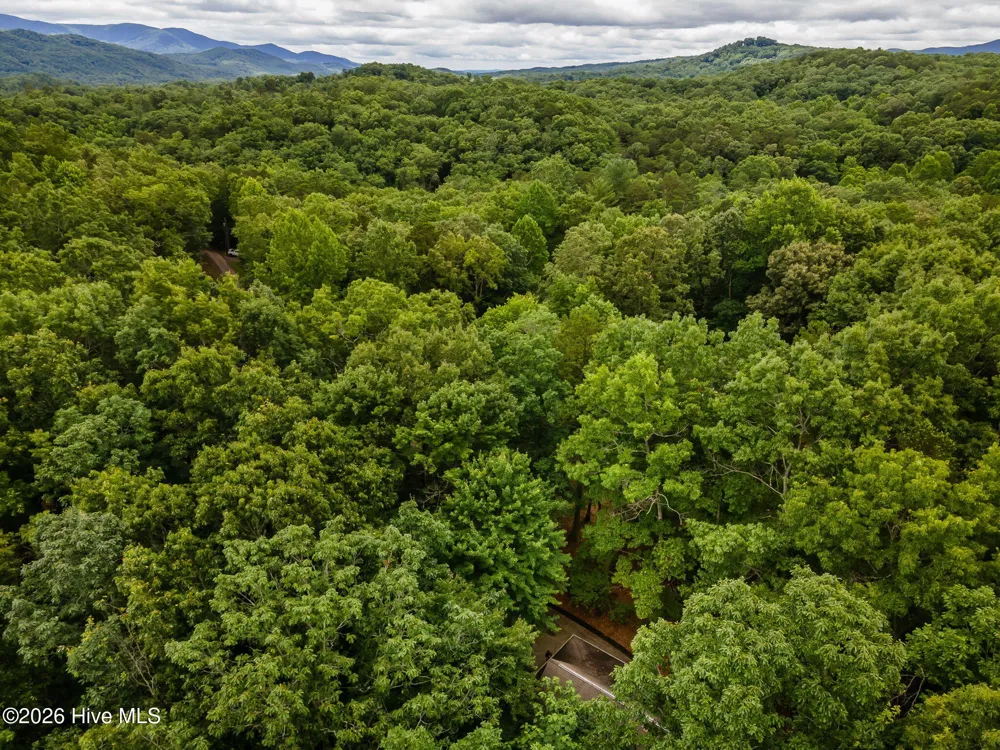 398 Mountain Tops Circle Blue Ridge, GA 30513