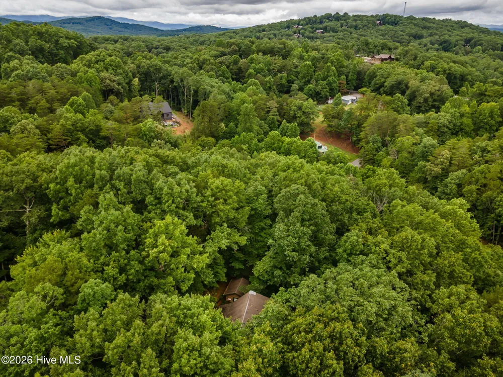 398 Mountain Tops Circle Blue Ridge, GA 30513