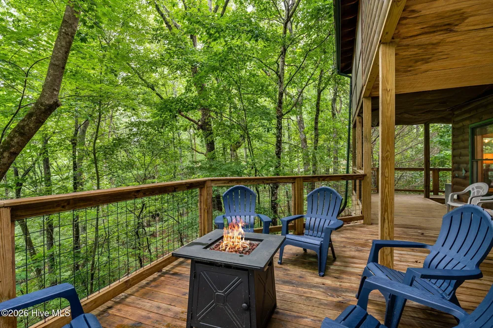 398 Mountain Tops Circle Blue Ridge, GA 30513