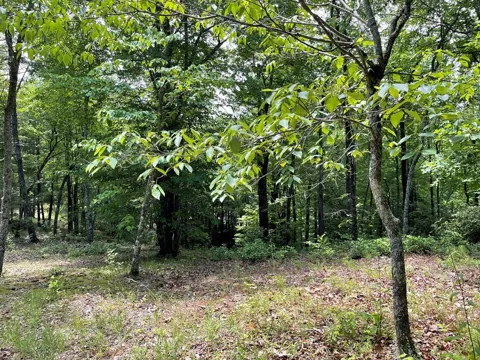 4 Collett Woods Trail