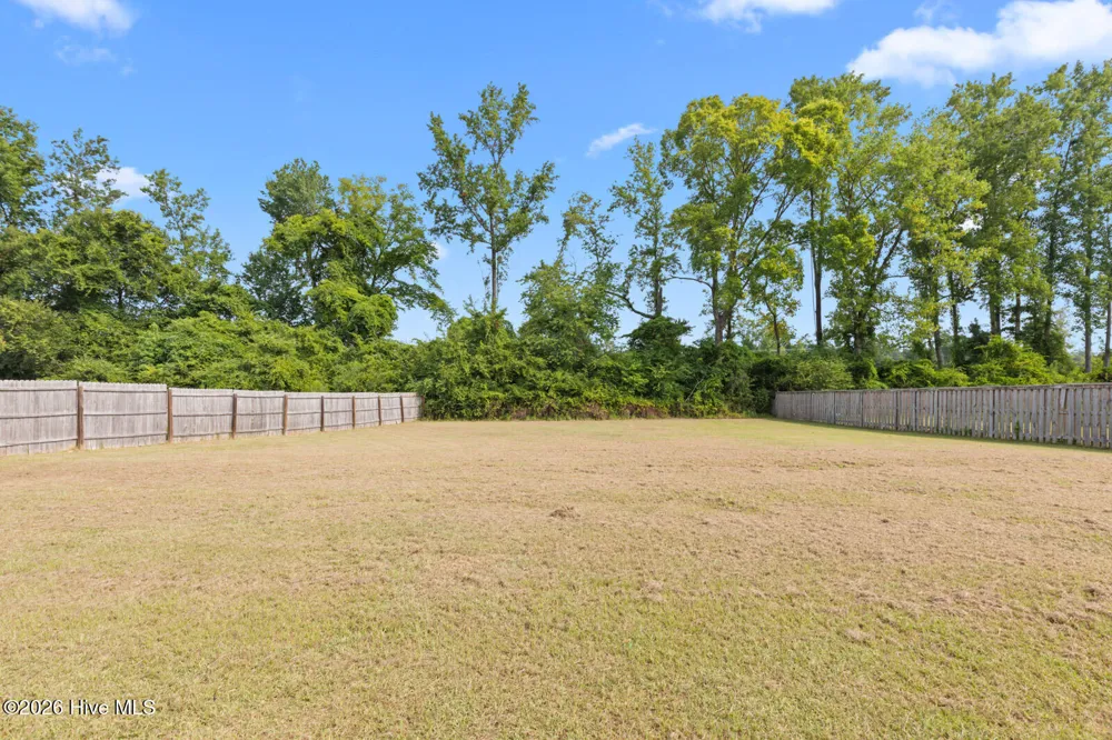 110 Pear Tree Lane Richlands, NC 28574