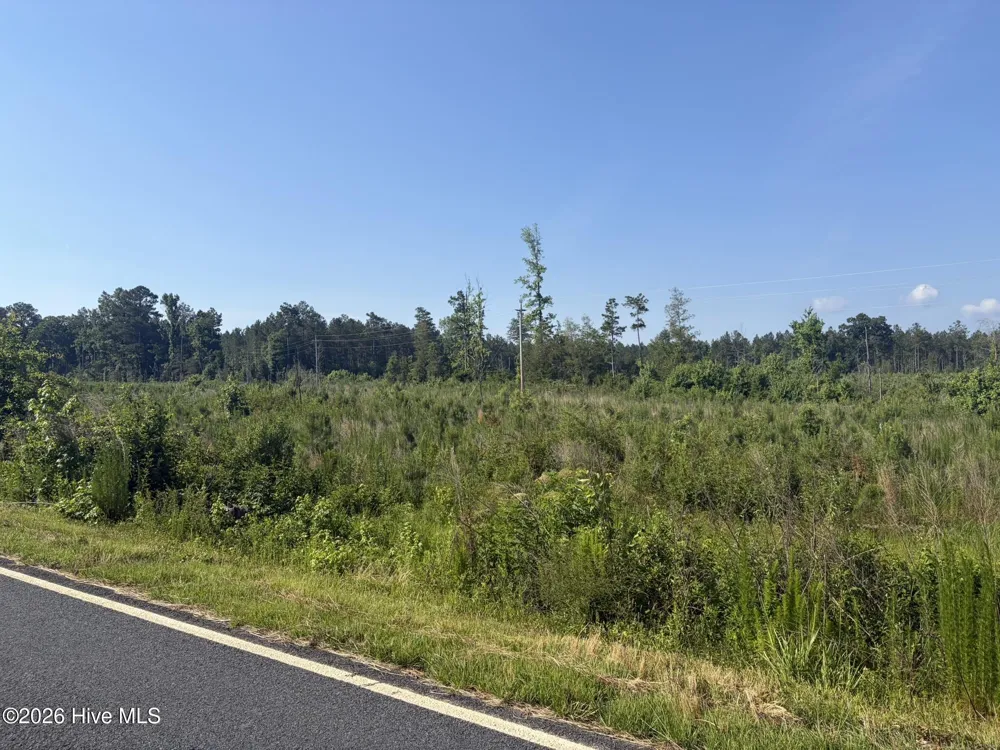 Tbd Everett Chappell Road Ellerbe, NC 28338