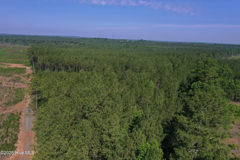 Tbd Everett Chappell Road Ellerbe, NC 28338