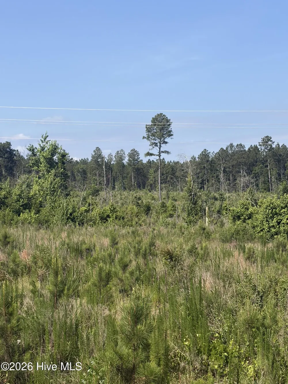Tbd Everett Chappell Road Ellerbe, NC 28338