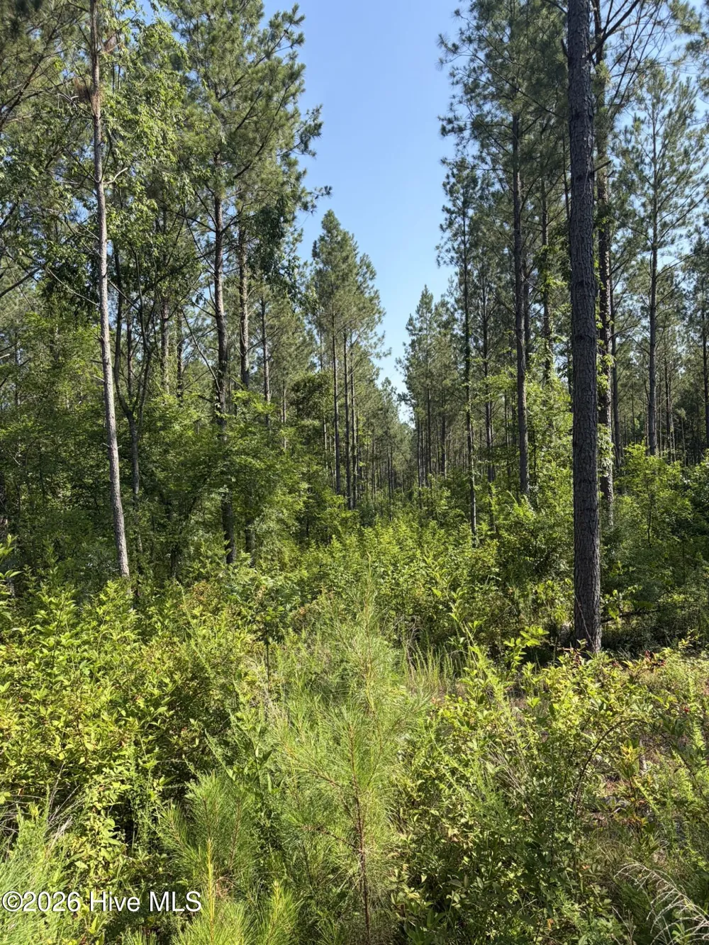 Tbd Everett Chappell Road Ellerbe, NC 28338