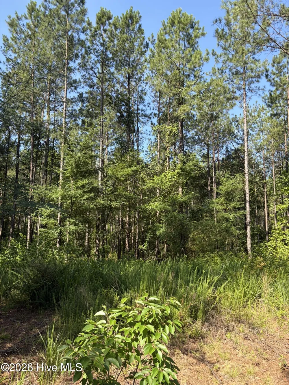 Tbd Everett Chappell Road Ellerbe, NC 28338