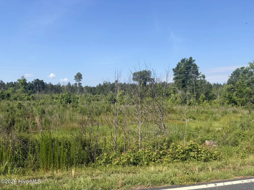 Tbd Everett Chappell Road Ellerbe, NC 28338