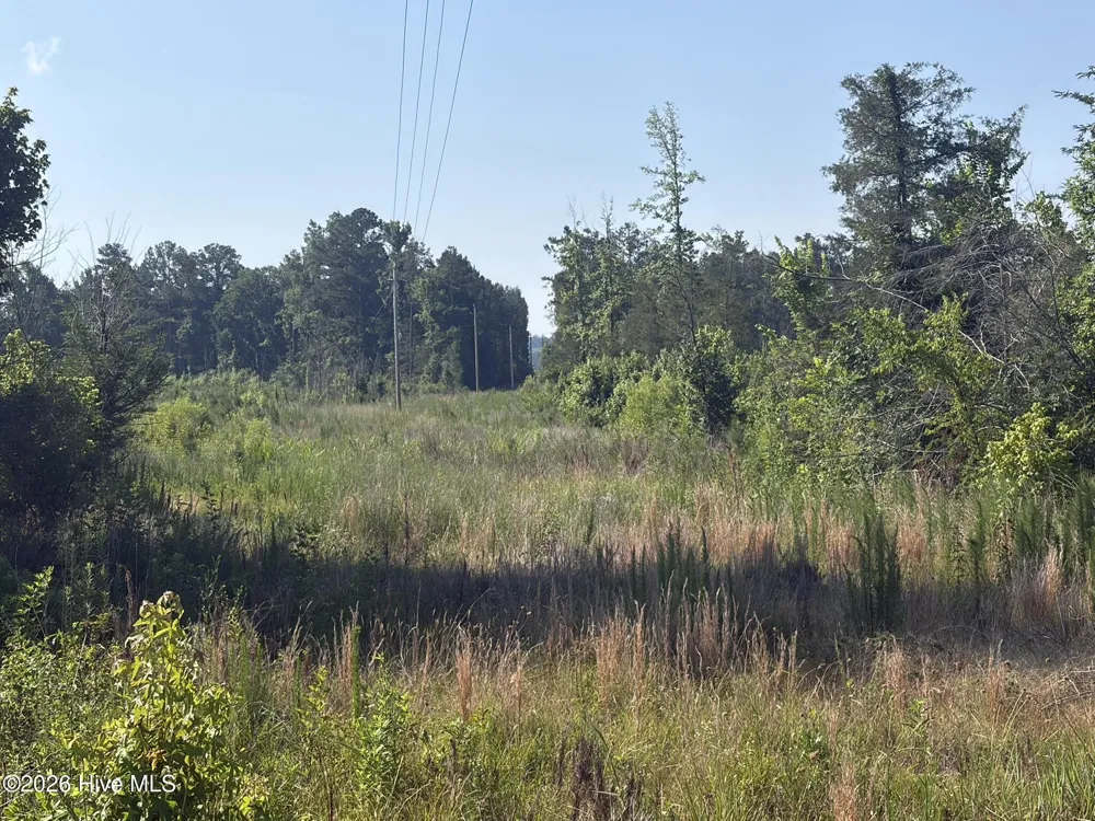 Tbd Everett Chappell Road Ellerbe, NC 28338