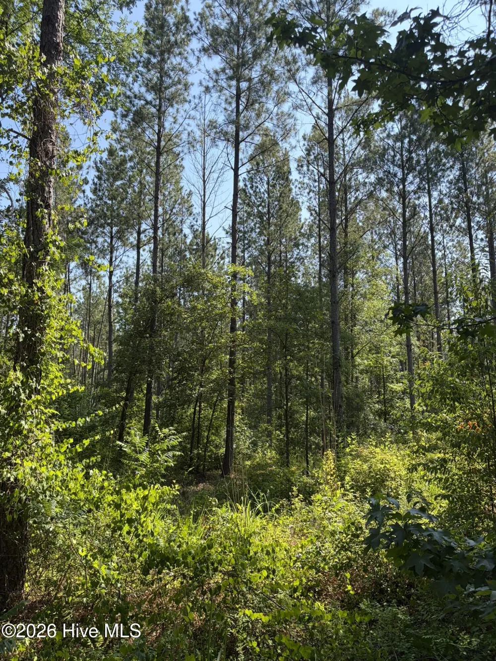 Tbd Everett Chappell Road Ellerbe, NC 28338