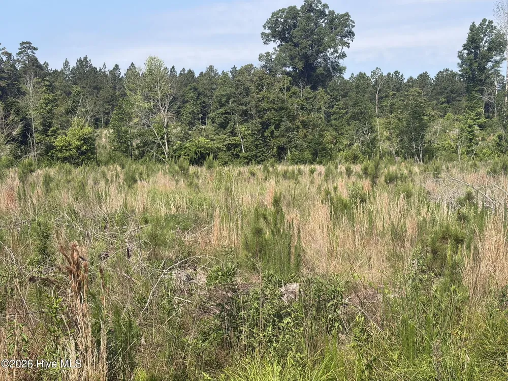 Tbd Everett Chappell Road Ellerbe, NC 28338