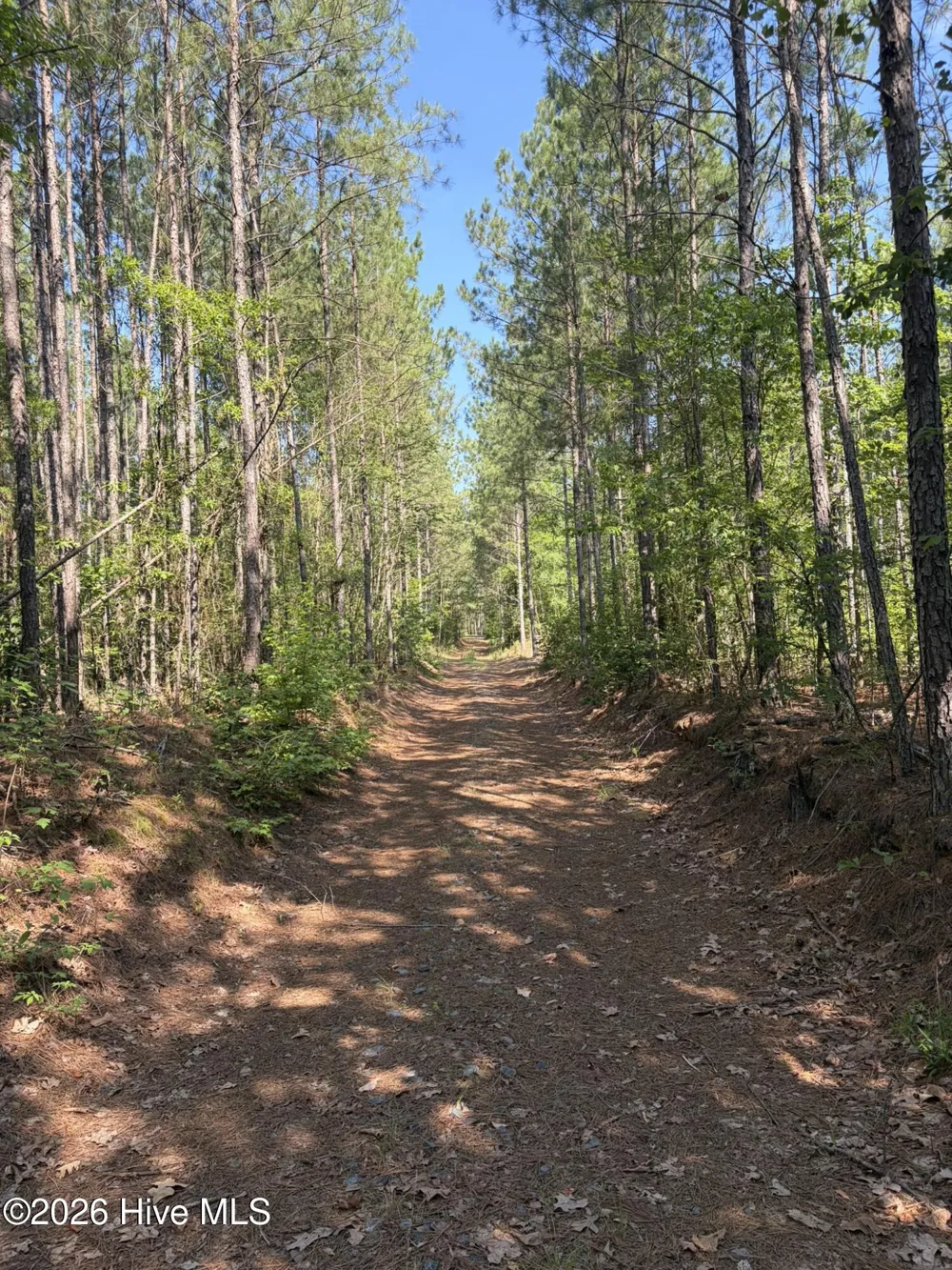Tbd Everett Chappell Road Ellerbe, NC 28338