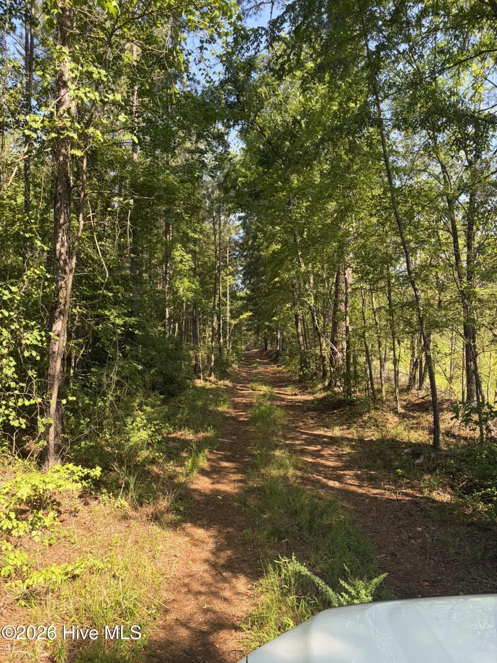 Tbd Everett Chappell Road Ellerbe, NC 28338