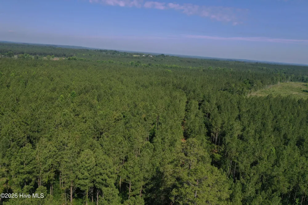 Tbd Everett Chappell Road Ellerbe, NC 28338