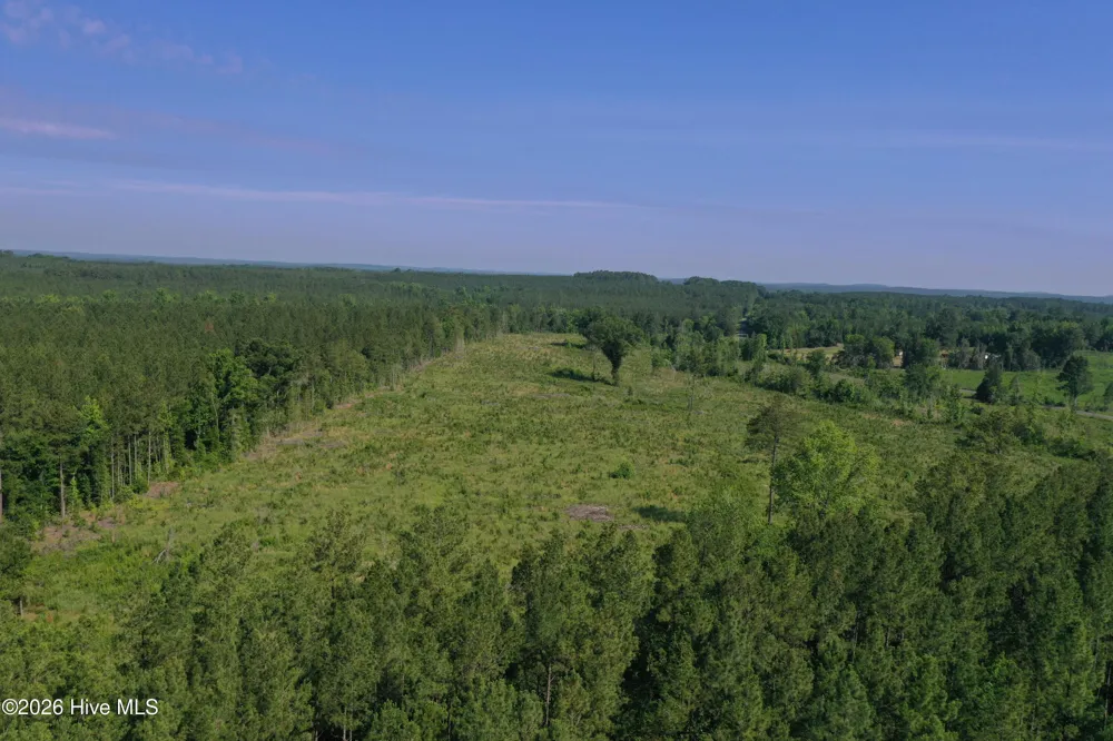 Tbd Everett Chappell Road Ellerbe, NC 28338