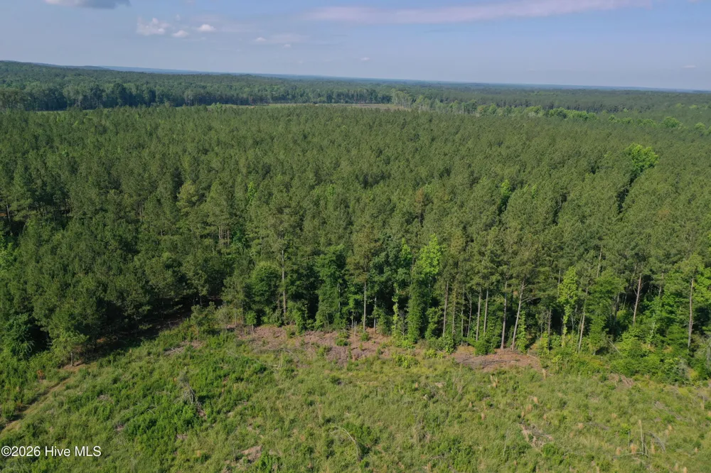 Tbd Everett Chappell Road Ellerbe, NC 28338