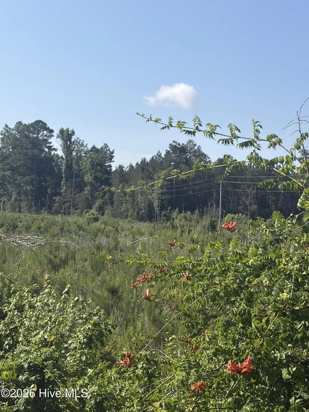 Tbd Everett Chappell Road Ellerbe, NC 28338