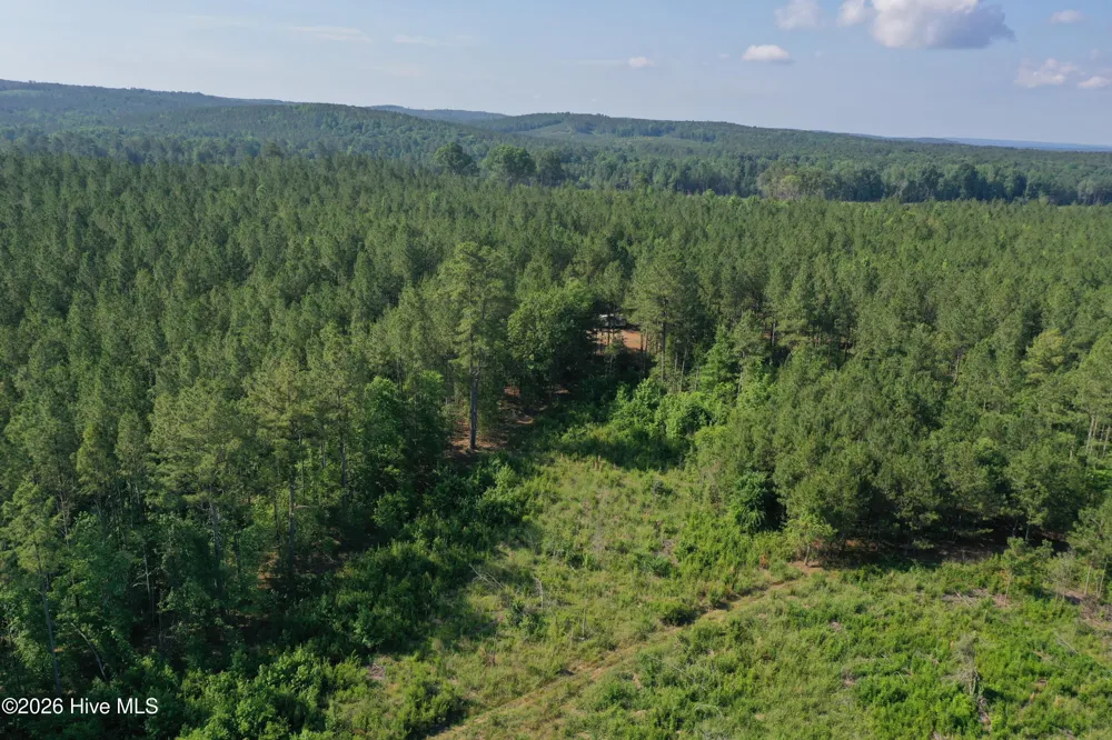 Tbd Everett Chappell Road Ellerbe, NC 28338