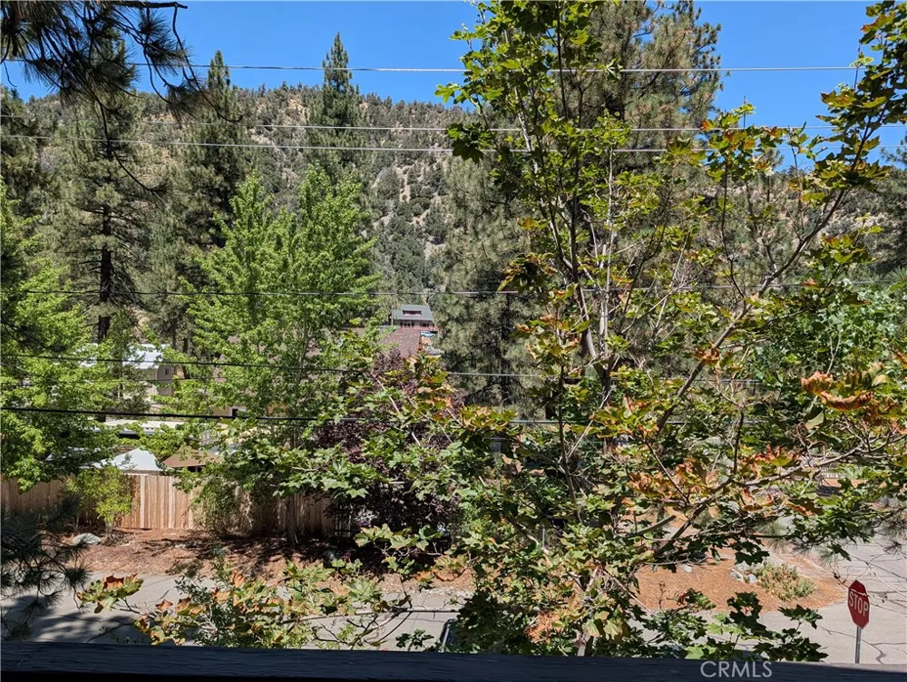1587 Ross Wrightwood, CA 92397