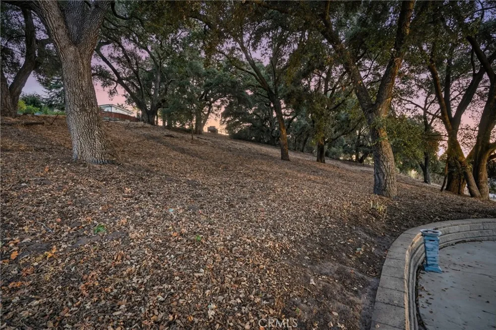 4250 Traffic Way Atascadero, CA 93422