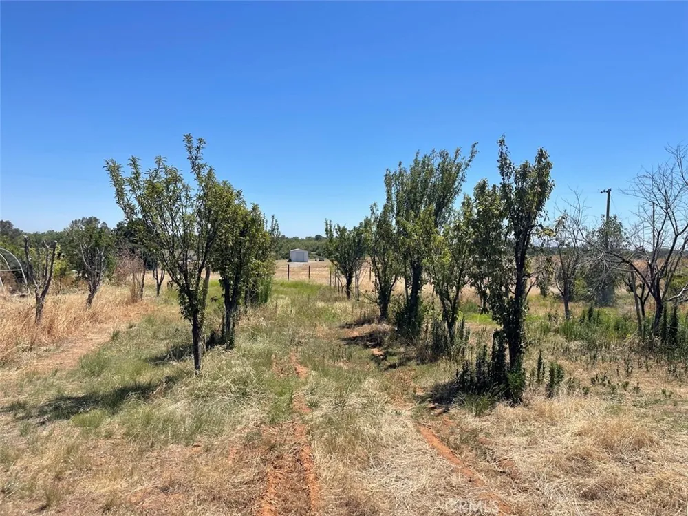 1318 Farrar Oroville, CA 95965