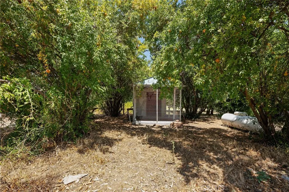 4733 County Rd E Orland, CA 95963