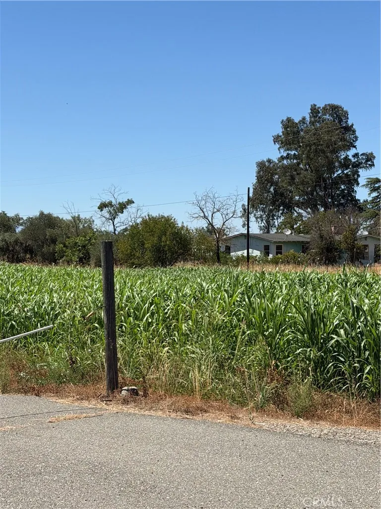 4275 County Road 99w Orland, CA 95963