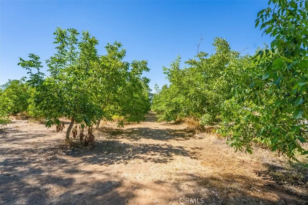 22145 Chase Ave & 3067 Burnham Avenue Corning, CA 96021