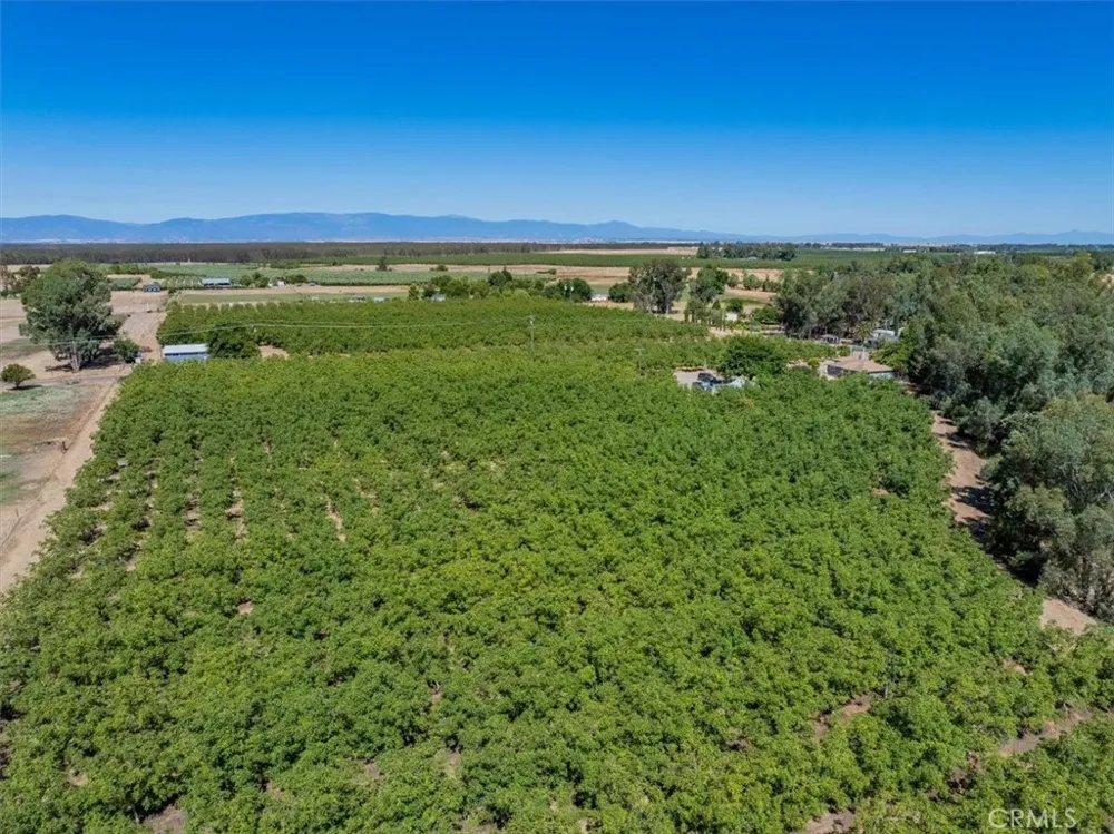 22145 Chase Ave & 3067 Burnham Avenue Corning, CA 96021
