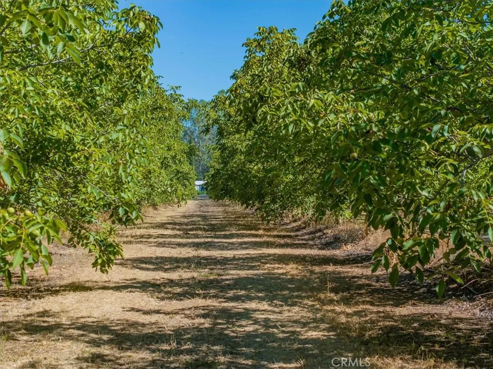 22145 Chase Ave & 3067 Burnham Avenue Corning, CA 96021