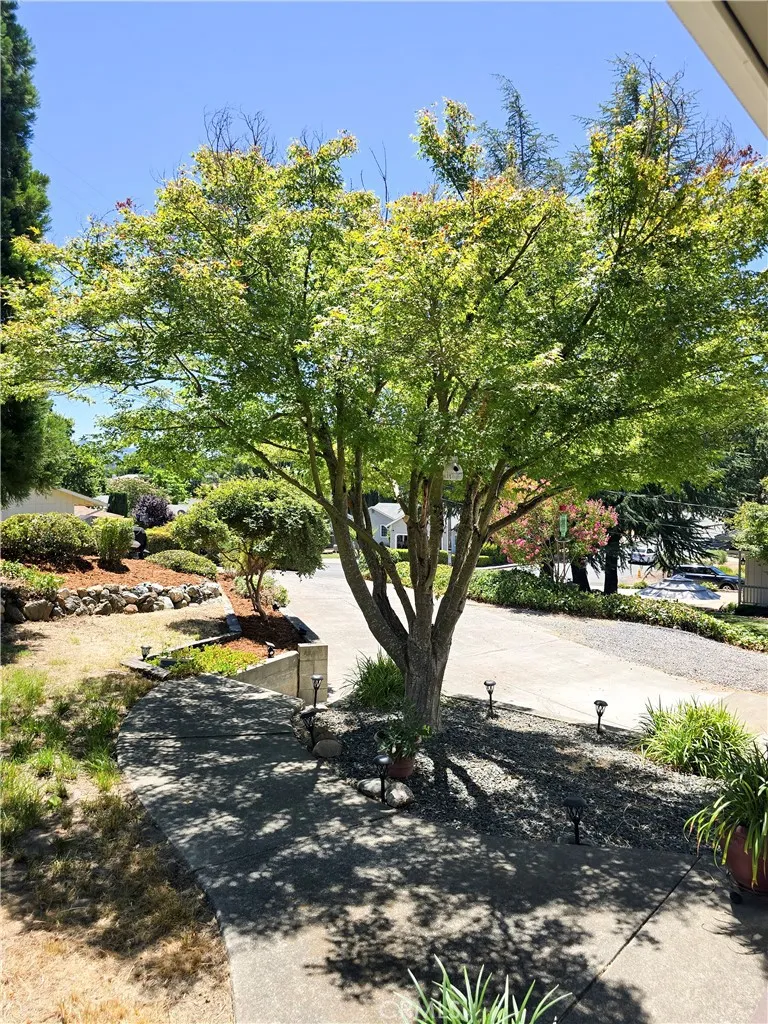 1711 Mellor Lakeport, CA 95453