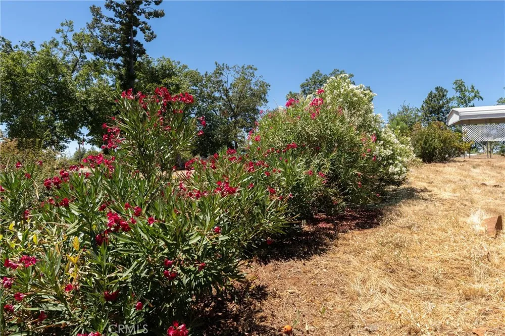 4984 Ravelle Court Paradise, CA 95969