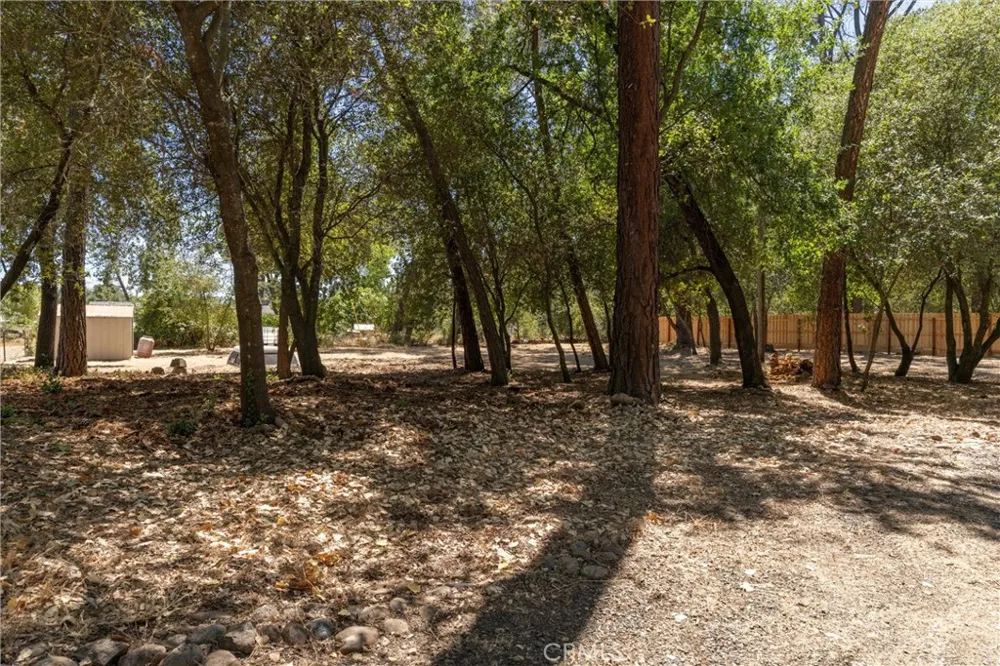 6736 Rock Haven Court Palermo, CA 95966