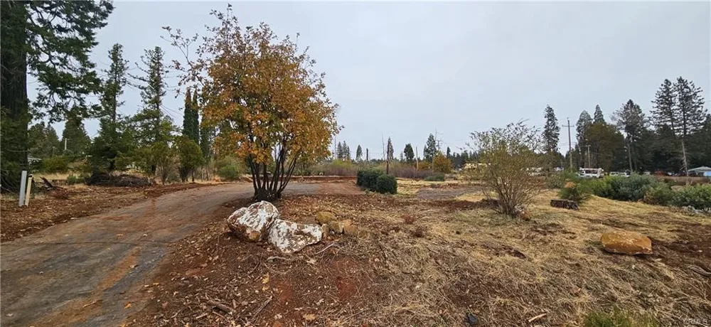 6197 Ponderosa Magalia, CA 95954