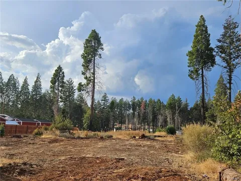 6323 Ponderosa