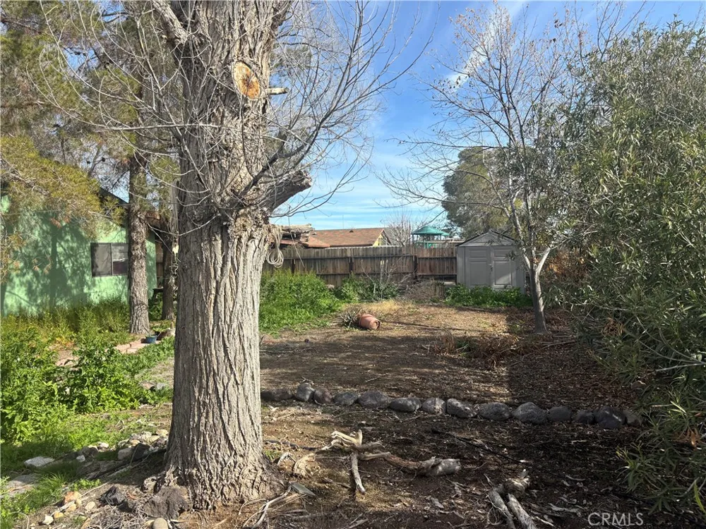 313 Mamie Street Ridgecrest, CA 93555