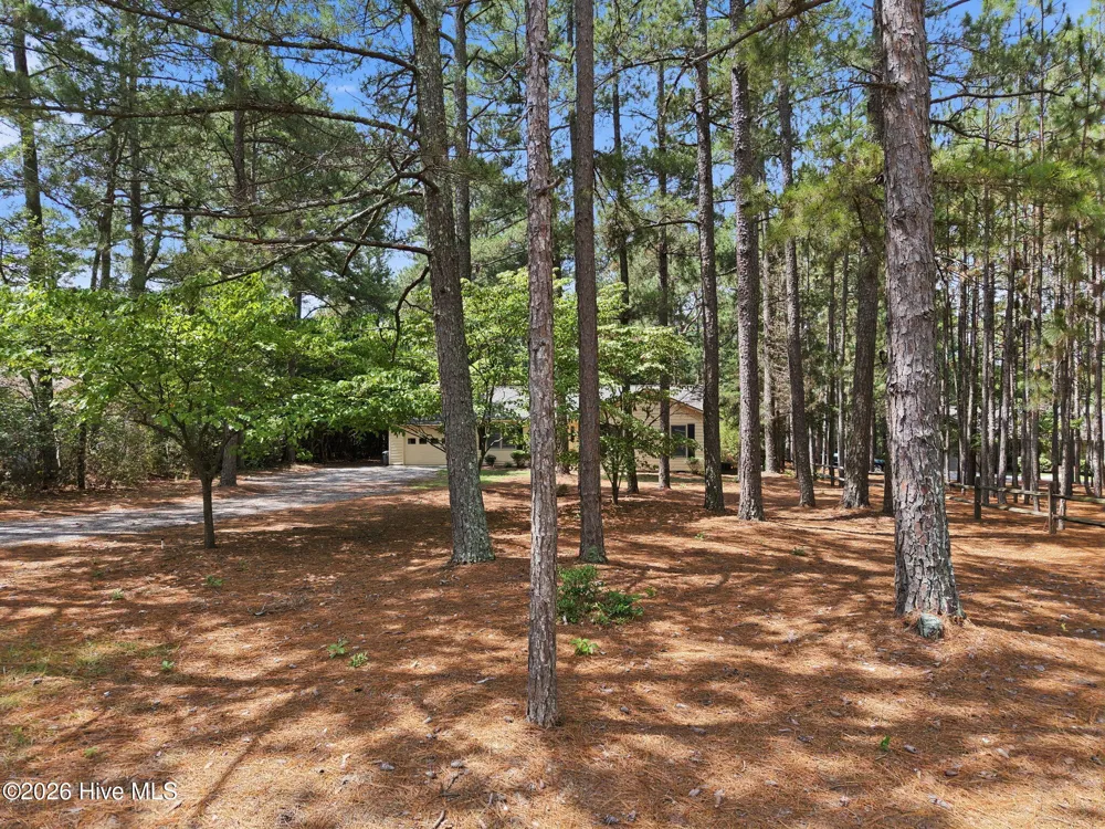 103 Timber Drive West End, NC 27376