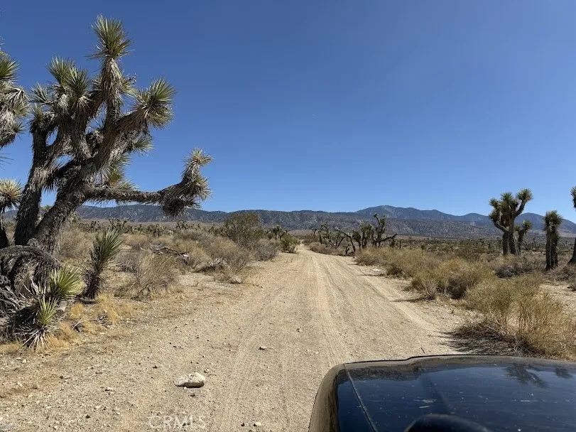 Ave X/220 Llano, CA 93544