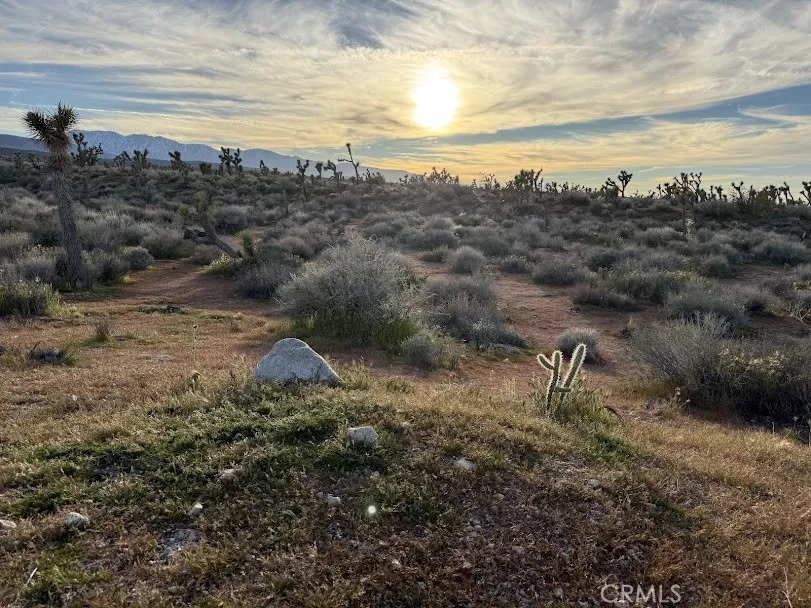 Ave X/220 Llano, CA 93544
