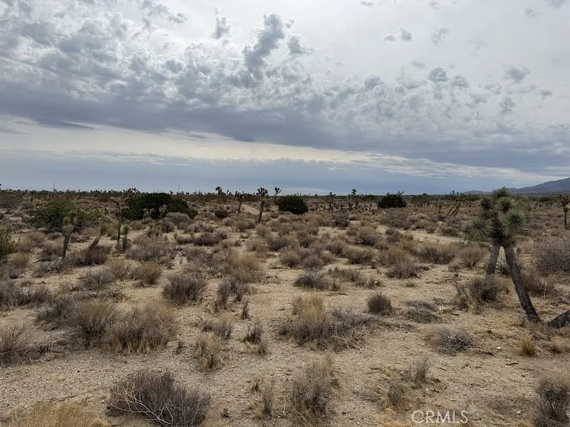 Ave X/220 Llano, CA 93544