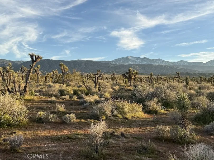 Ave X/220 Llano, CA 93544