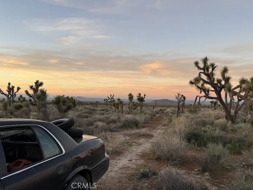 Ave X/220 Llano, CA 93544