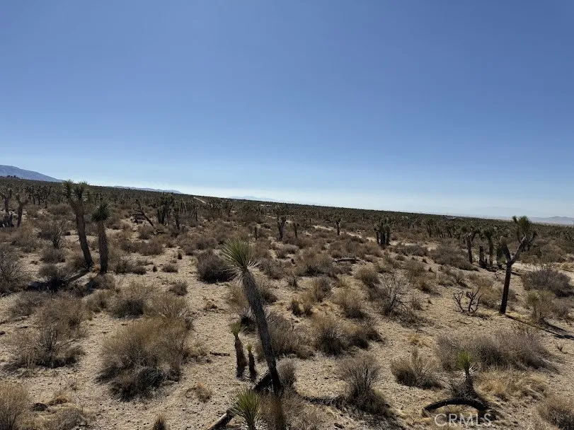 Ave X/220 Llano, CA 93544