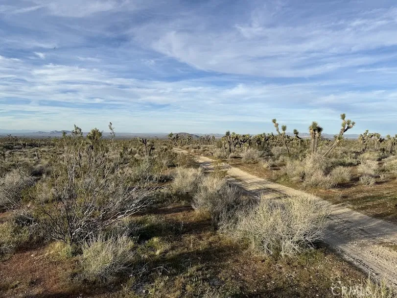 Ave X/220 Llano, CA 93544