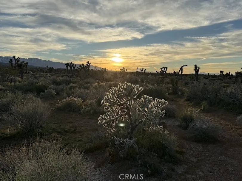 Ave X/220 Llano, CA 93544