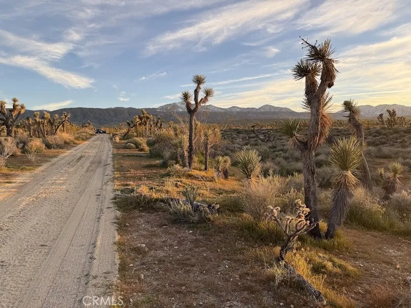 Ave X/220 Llano, CA 93544